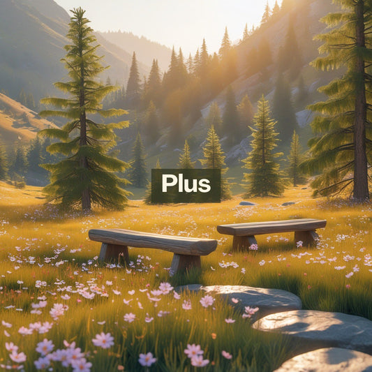 Plus